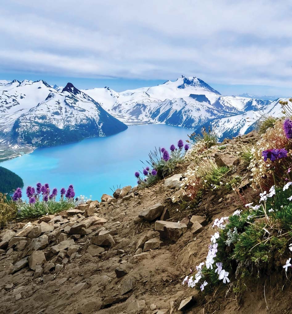 The PEN – February 2025