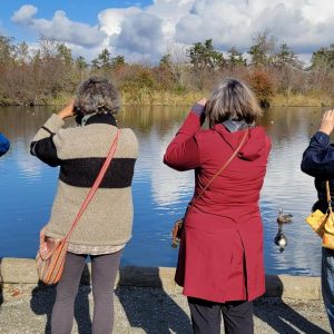 Oct 23 bird watching