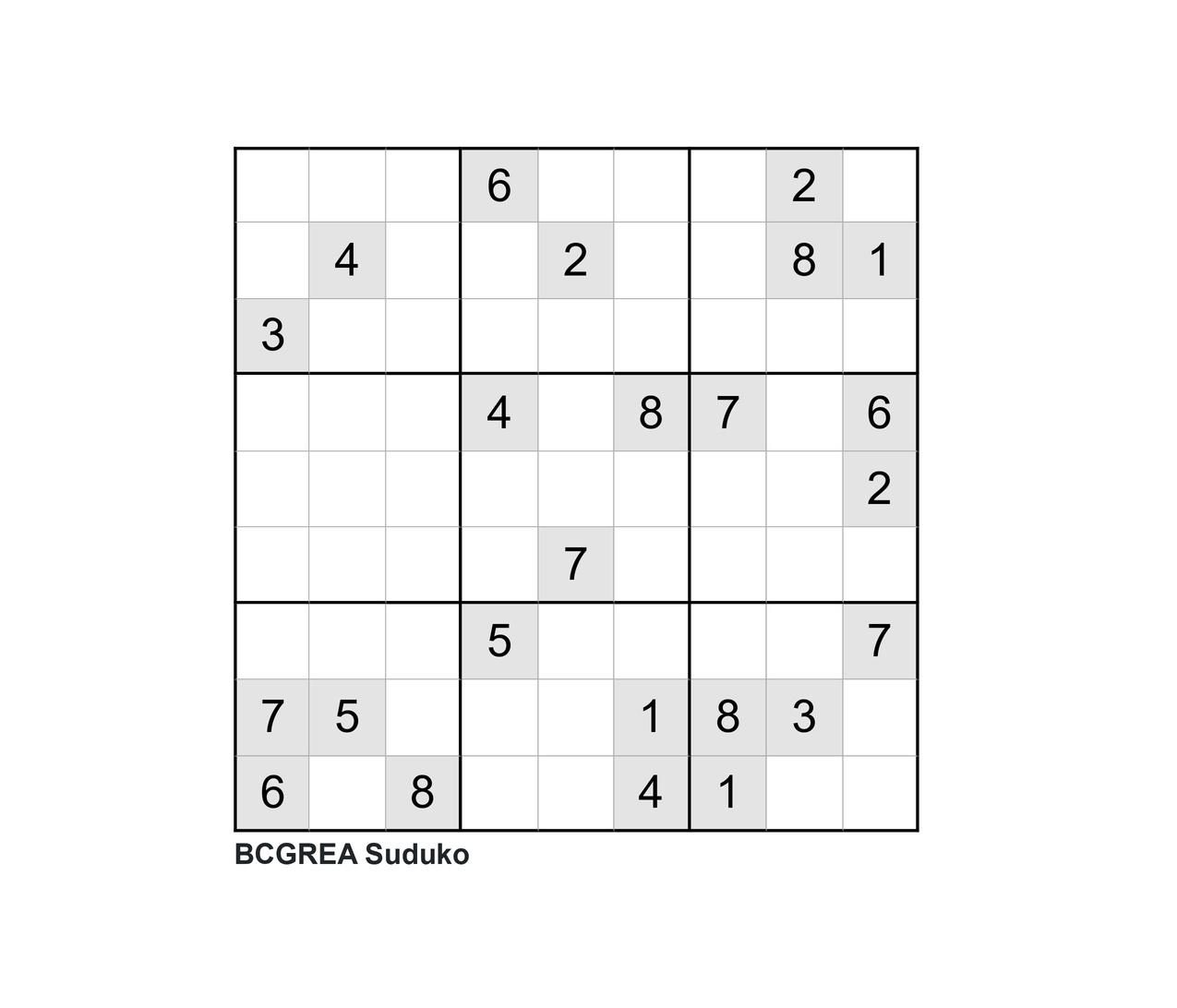 Sudoku Puzzle