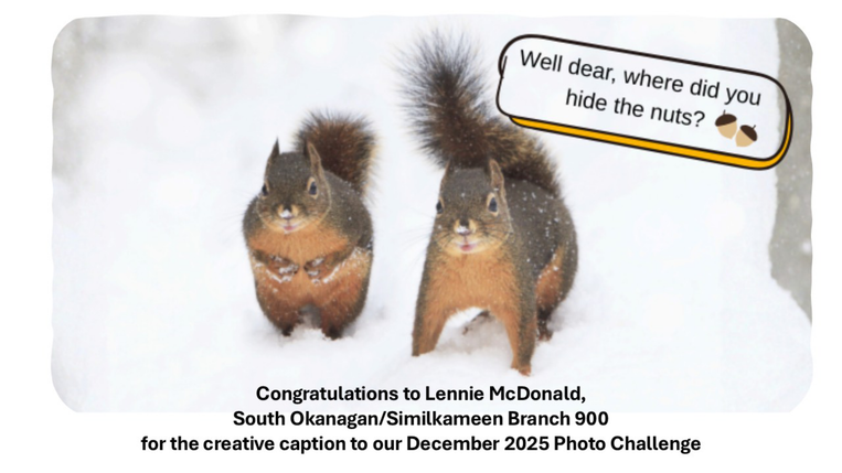 Lennie McDonald creative caption photograph