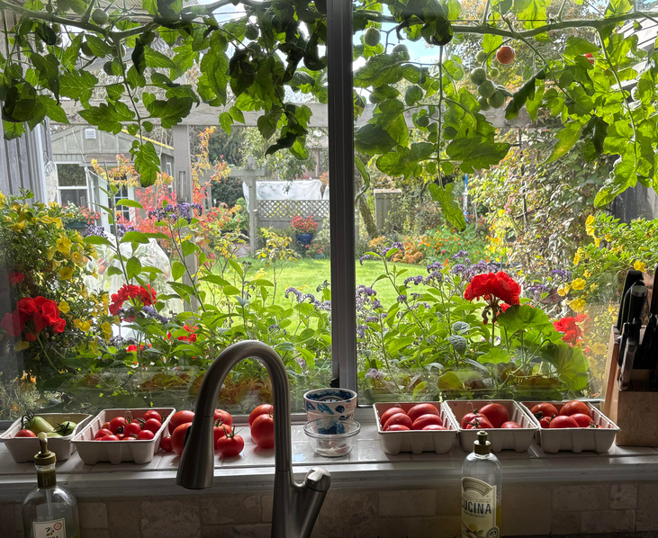 October garden harvest