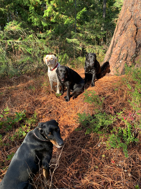 Ovi, Lena, Teaka and Fin
